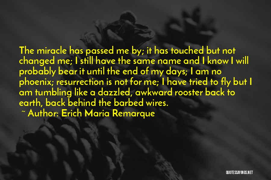 Days Fly By Quotes By Erich Maria Remarque