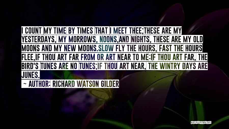 Days Fly By Quotes By Richard Watson Gilder