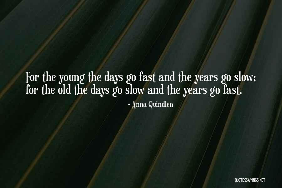 Days Go Fast Quotes By Anna Quindlen Days Go Fast Quotes By Anna Quindlen