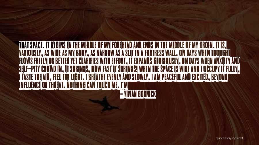 Days Go Fast Quotes By Vivian Gornick Days Go Fast Quotes By Vivian Gornick