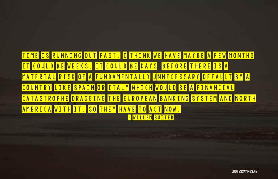 Days Go Fast Quotes By Willem Buiter Days Go Fast Quotes By Willem Buiter