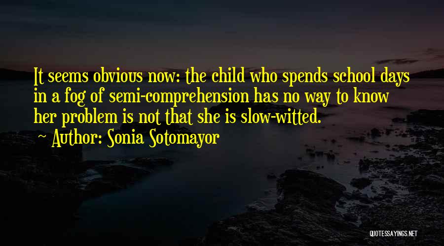 Days Go Slow Quotes By Sonia Sotomayor