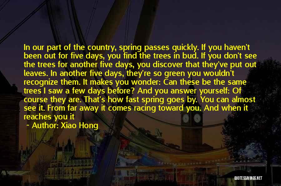 Days Going Fast Quotes By Xiao Hong