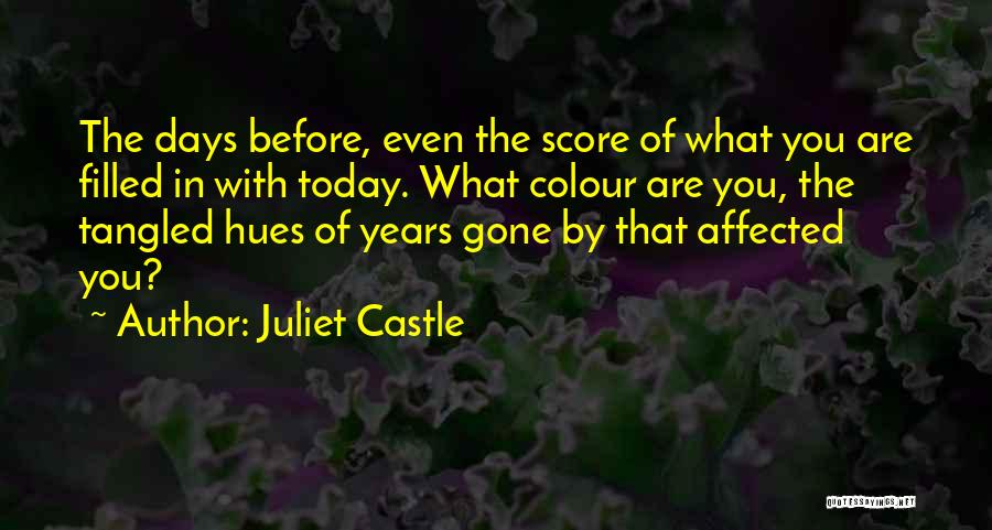 Days Gone By Quotes By Juliet Castle