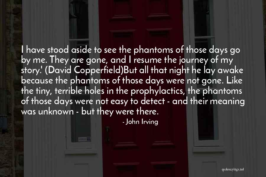 Days Gone Quotes By John Irving Days Gone Quotes By John Irving