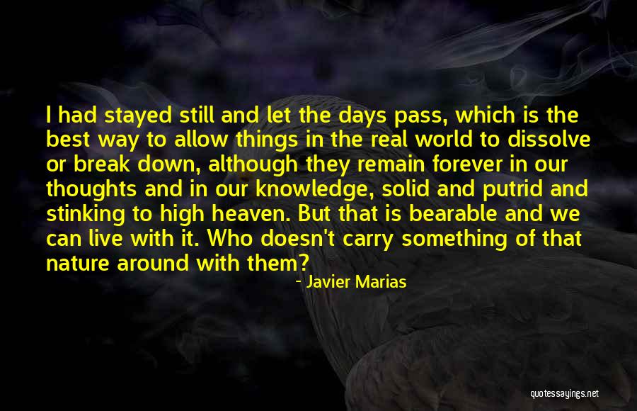 Days In Heaven Quotes By Javier Marias Days In Heaven Quotes By Javier Marias