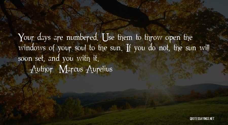 Days In Life Quotes By Marcus Aurelius