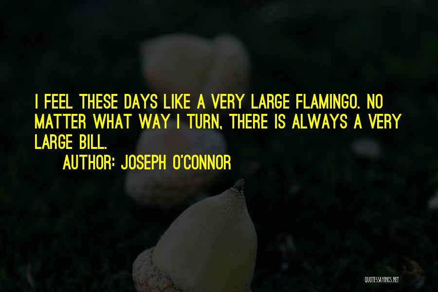 Days Like These Quotes By Joseph O'Connor