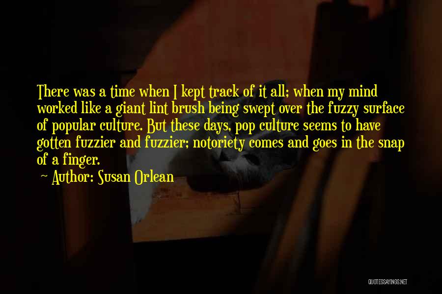 Days Like These Quotes By Susan Orlean