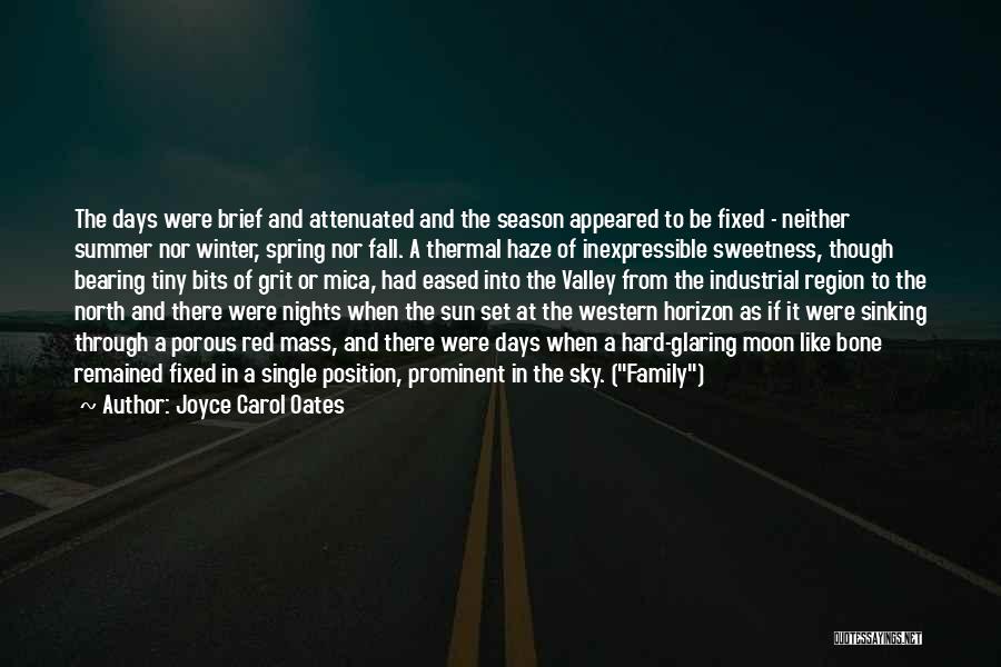 Days Of Summer Quotes By Joyce Carol Oates