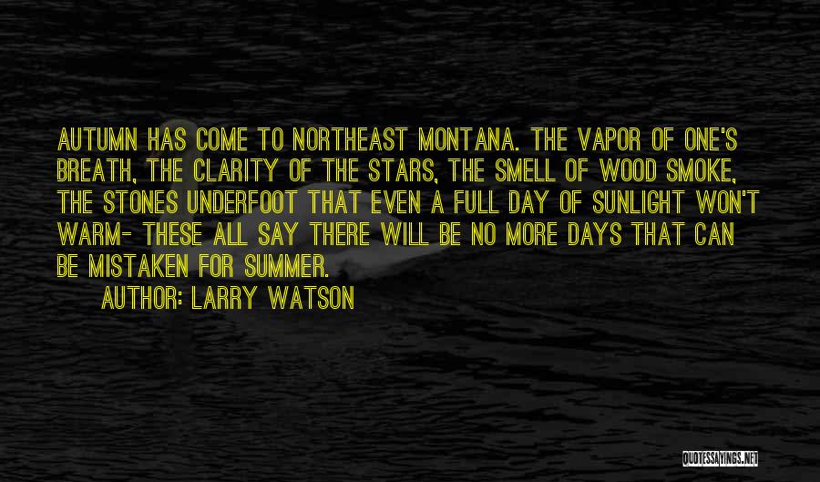 Days Of Summer Quotes By Larry Watson