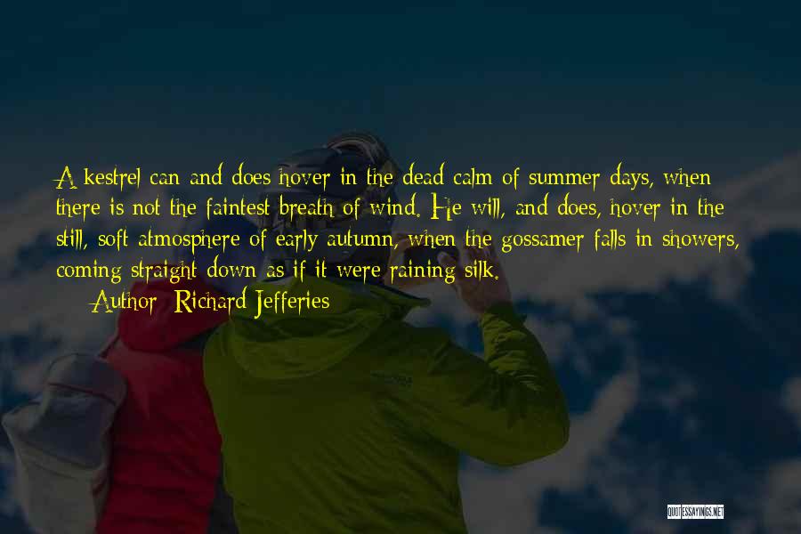Days Of Summer Quotes By Richard Jefferies