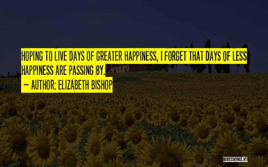 Days Passing Quotes By Elizabeth Bishop