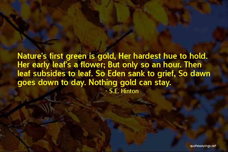 Dayslayer Morph Quotes By S.E. Hinton Dayslayer Morph Quotes By S.E. Hinton