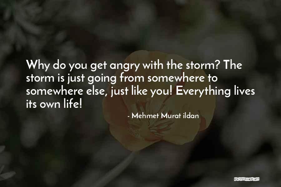 Dayspring Cards Quotes By Mehmet Murat Ildan Dayspring Cards Quotes By Mehmet Murat Ildan