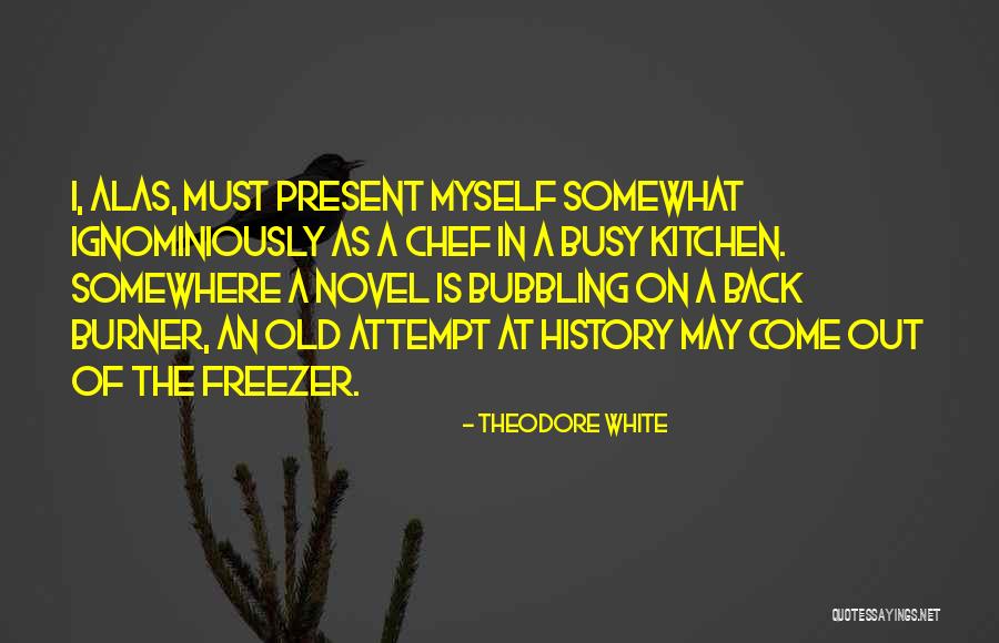 Daytime Emmys Quotes By Theodore White Daytime Emmys Quotes By Theodore White