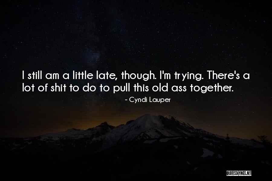 Daytripper Tours Quotes By Cyndi Lauper Daytripper Tours Quotes By Cyndi Lauper