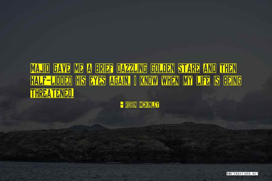 Dazzling Life Quotes By Robin McKinley Dazzling Life Quotes By Robin McKinley