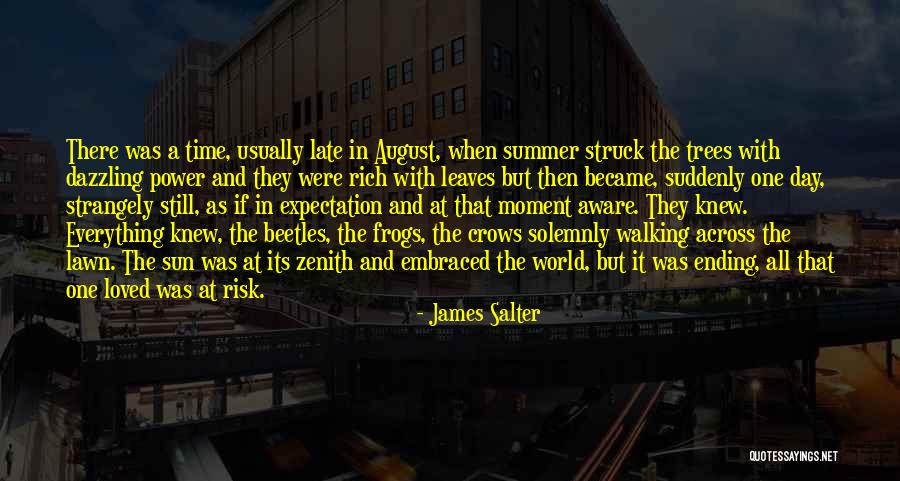 Dazzling Sun Quotes By James Salter Dazzling Sun Quotes By James Salter