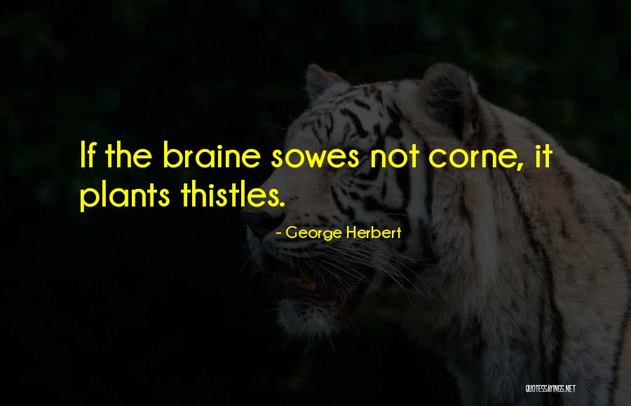 Dbgb Restaurant Quotes By George Herbert Dbgb Restaurant Quotes By George Herbert