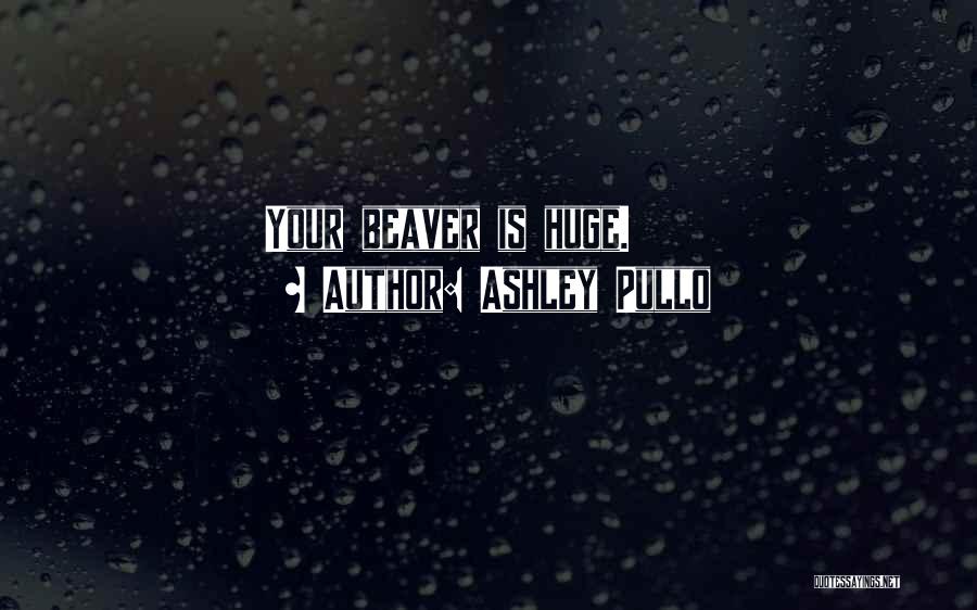 Dbrgs Quotes By Ashley Pullo