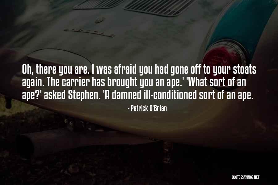 Dbz Trunks Quotes By Patrick O'Brian Dbz Trunks Quotes By Patrick O'Brian
