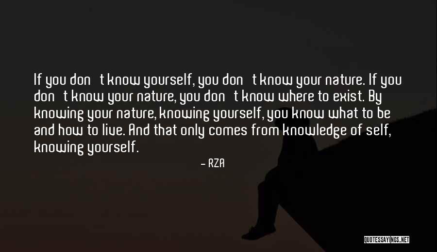 Ddim Guitar Quotes By RZA Ddim Guitar Quotes By RZA