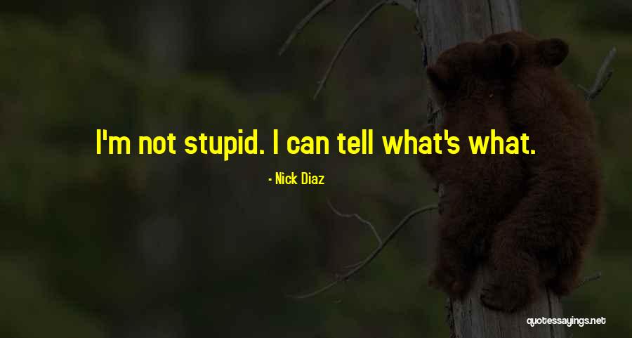 Ddms Of Houston Quotes By Nick Diaz Ddms Of Houston Quotes By Nick Diaz