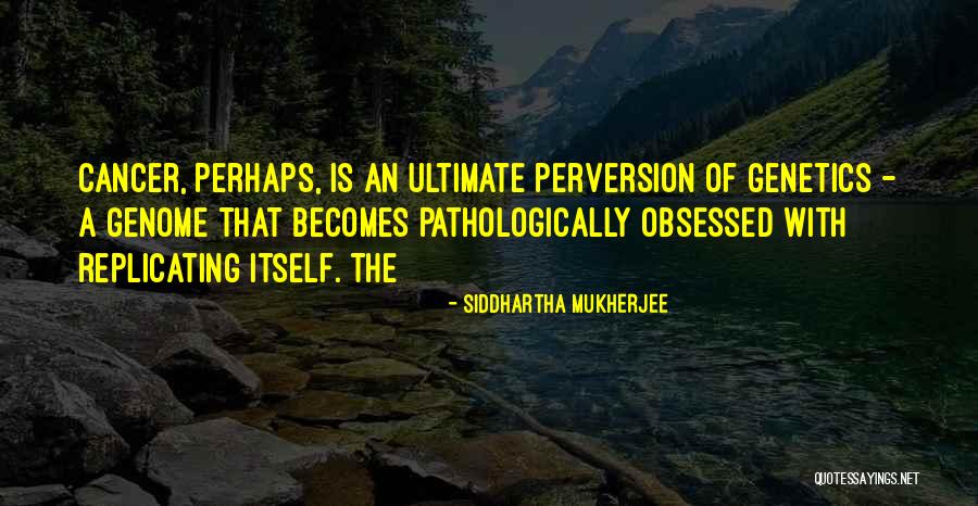 Ddoreq Quotes By Siddhartha Mukherjee Ddoreq Quotes By Siddhartha Mukherjee