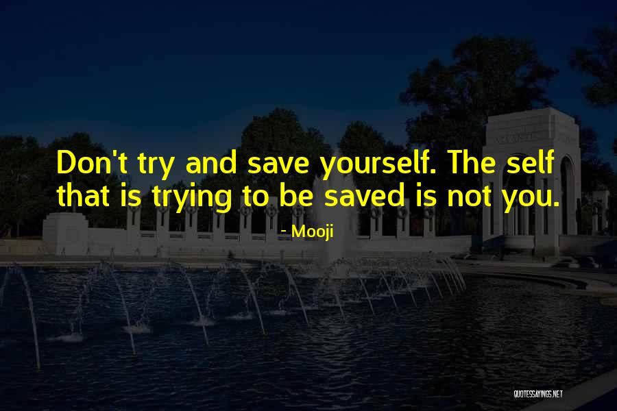 Ddp Inspirational Quotes By Mooji Ddp Inspirational Quotes By Mooji