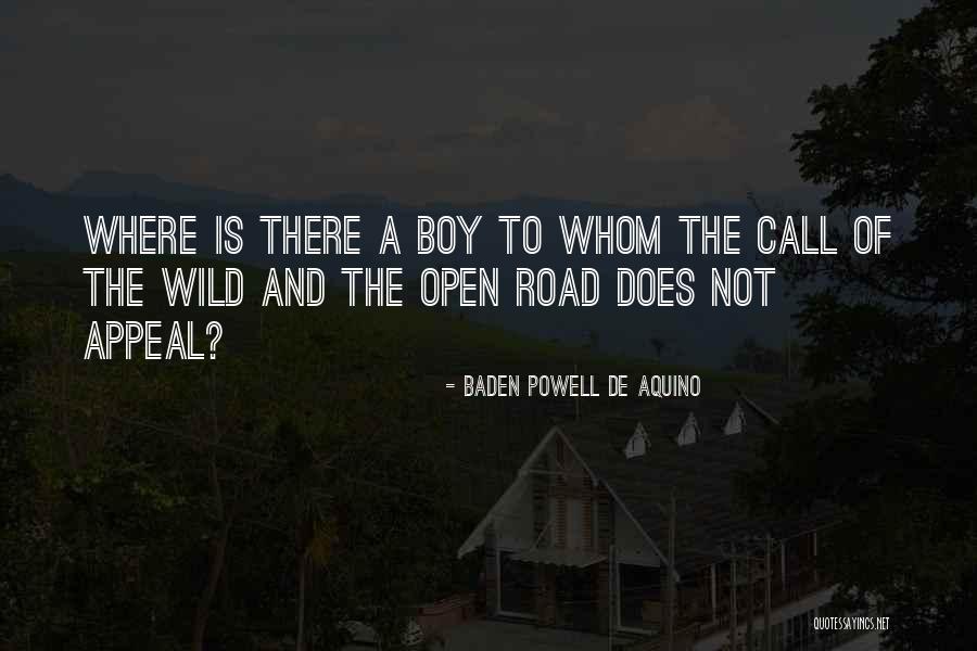 De Aquino Quotes By Baden Powell De Aquino De Aquino Quotes By Baden Powell De Aquino