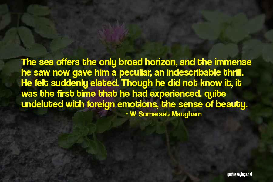 De Baena Housekeeper Quotes By W. Somerset Maugham De Baena Housekeeper Quotes By W. Somerset Maugham