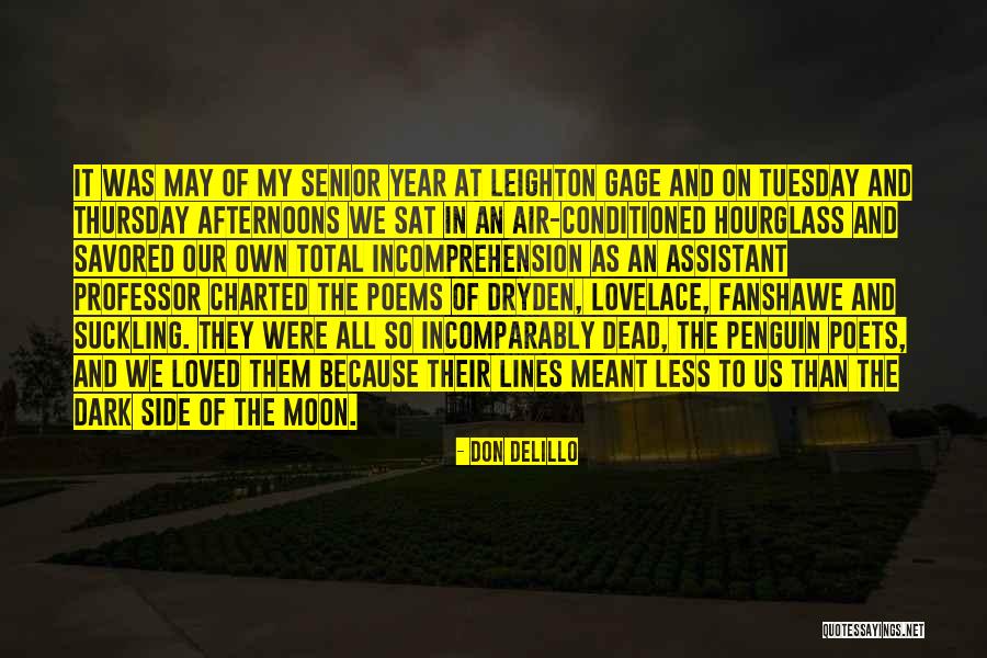 De Bedout Crater Quotes By Don DeLillo De Bedout Crater Quotes By Don DeLillo