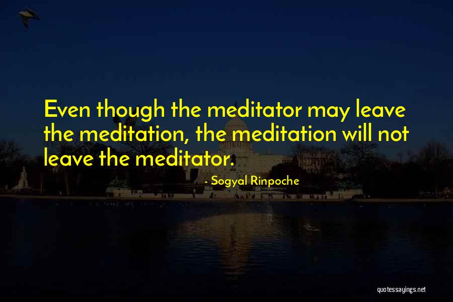 De Berardinis Salon Quotes By Sogyal Rinpoche De Berardinis Salon Quotes By Sogyal Rinpoche