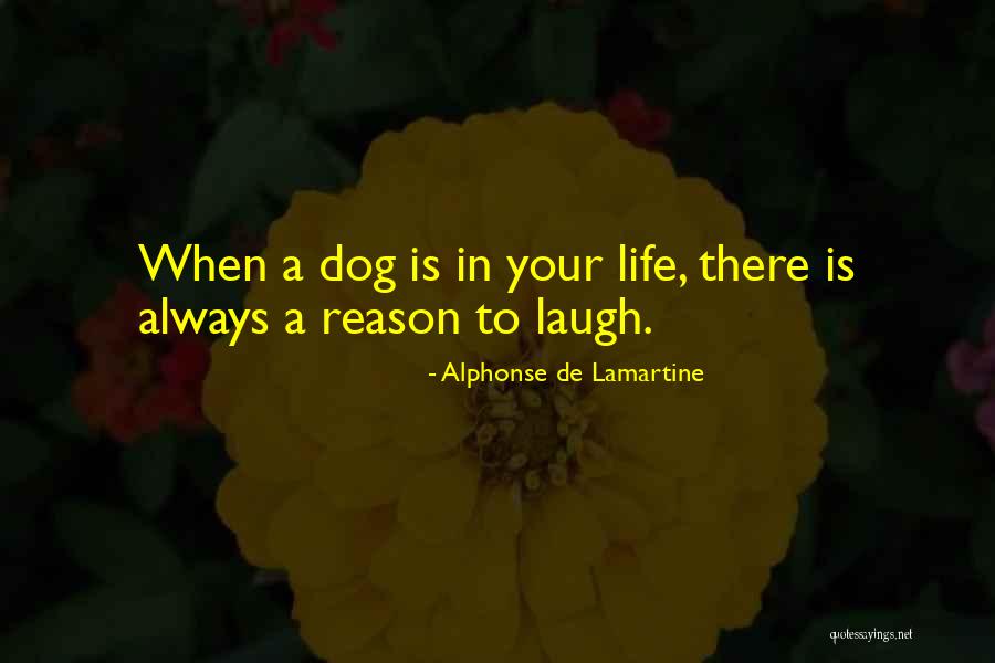 De Dog Quotes By Alphonse De Lamartine De Dog Quotes By Alphonse De Lamartine