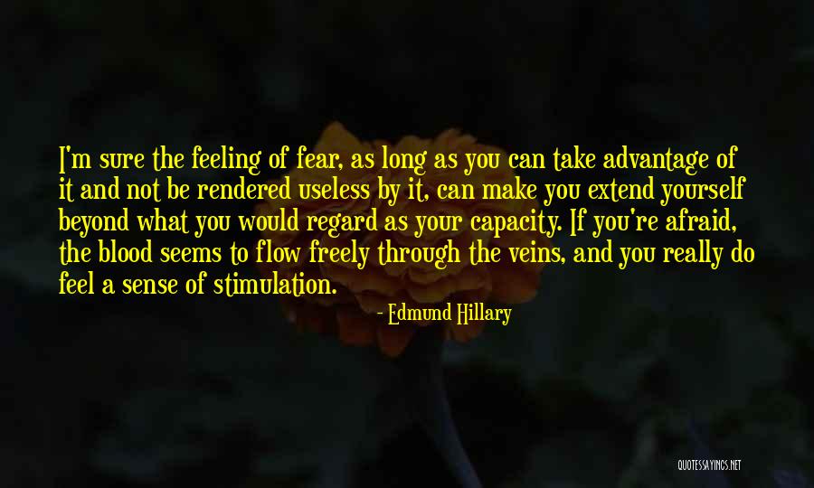 De Dominee Quotes By Edmund Hillary De Dominee Quotes By Edmund Hillary