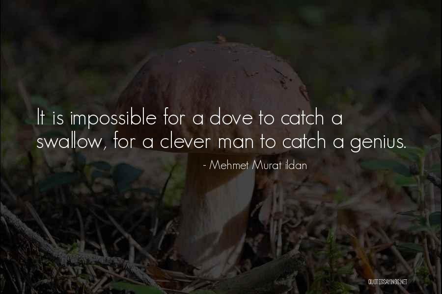 De Junio Quotes By Mehmet Murat Ildan De Junio Quotes By Mehmet Murat Ildan