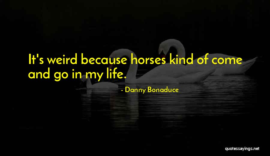 De La Serna Surname Quotes By Danny Bonaduce De La Serna Surname Quotes By Danny Bonaduce