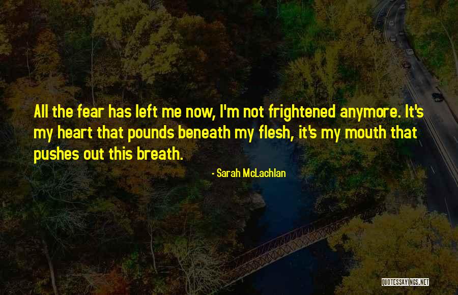 De Lanneau Harelbeke Quotes By Sarah McLachlan De Lanneau Harelbeke Quotes By Sarah McLachlan