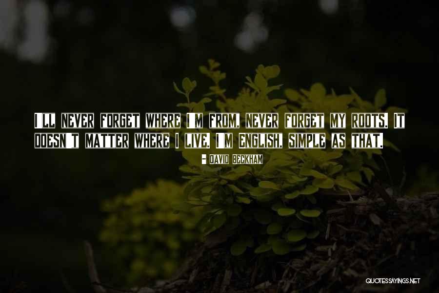 De Liefdesladder Quotes By David Beckham De Liefdesladder Quotes By David Beckham