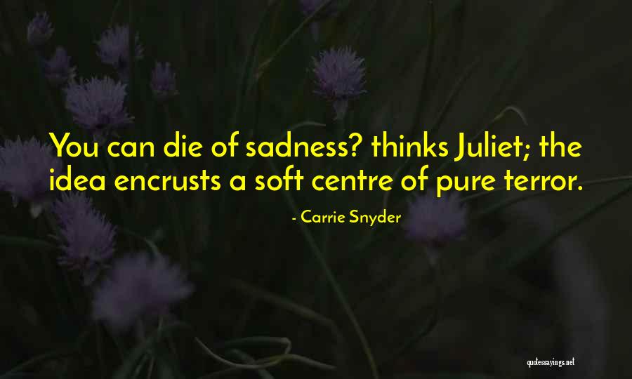 De Neuville Quotes By Carrie Snyder De Neuville Quotes By Carrie Snyder