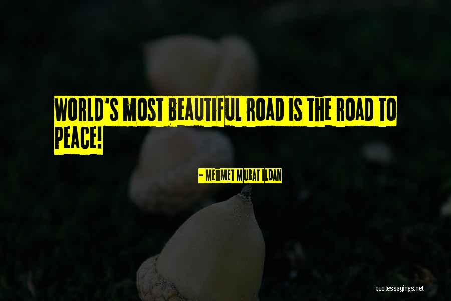 De Ordination Abnormality Quotes By Mehmet Murat Ildan De Ordination Abnormality Quotes By Mehmet Murat Ildan