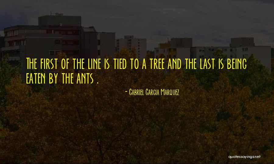 De Ordination Quotes By Gabriel Garcia Marquez De Ordination Quotes By Gabriel Garcia Marquez