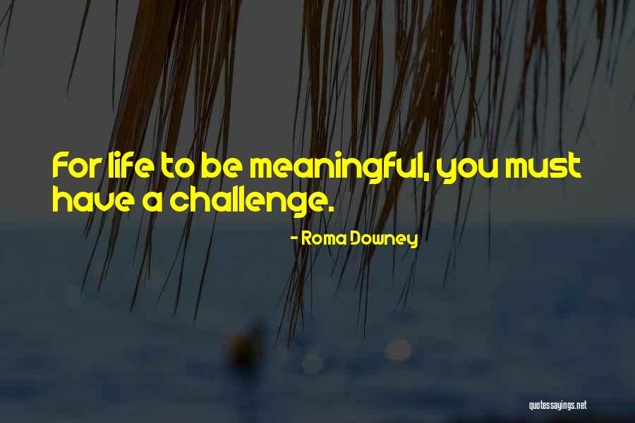 De Rennes Group Quotes By Roma Downey De Rennes Group Quotes By Roma Downey