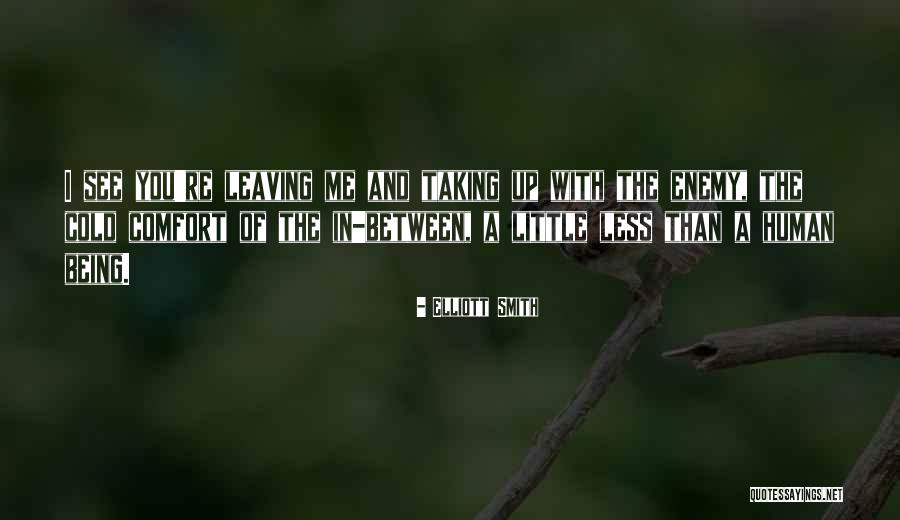 De Ruiter Seeds Quotes By Elliott Smith De Ruiter Seeds Quotes By Elliott Smith