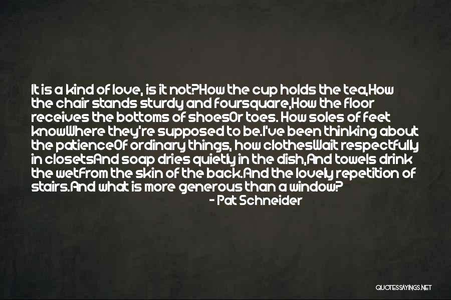 De Silvestri Middle School Quotes By Pat Schneider De Silvestri Middle School Quotes By Pat Schneider