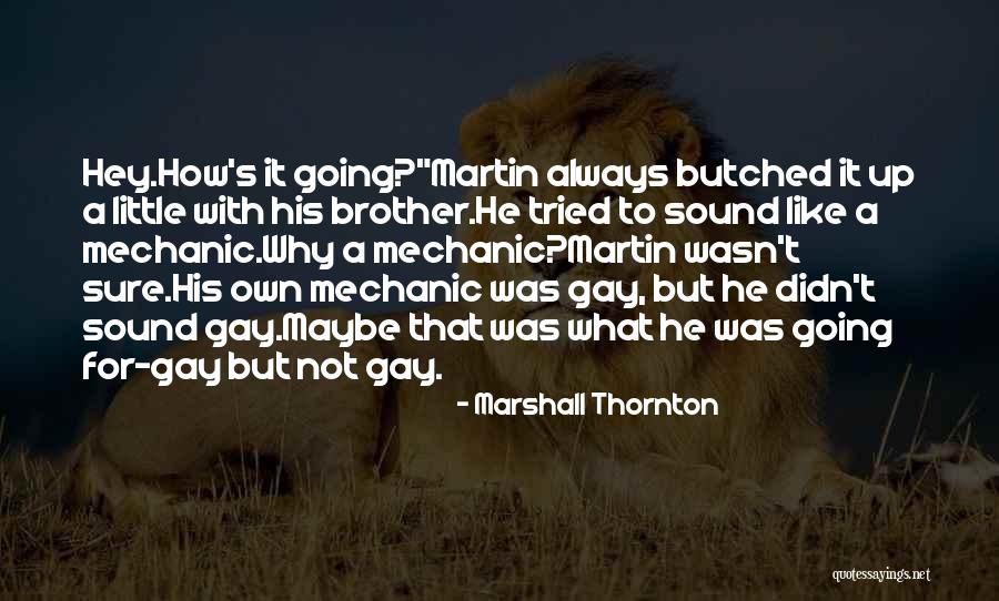 De Terrier Rouge Quotes By Marshall Thornton De Terrier Rouge Quotes By Marshall Thornton