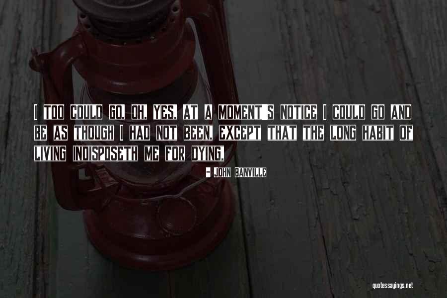 De Vicente Plasticos Quotes By John Banville De Vicente Plasticos Quotes By John Banville