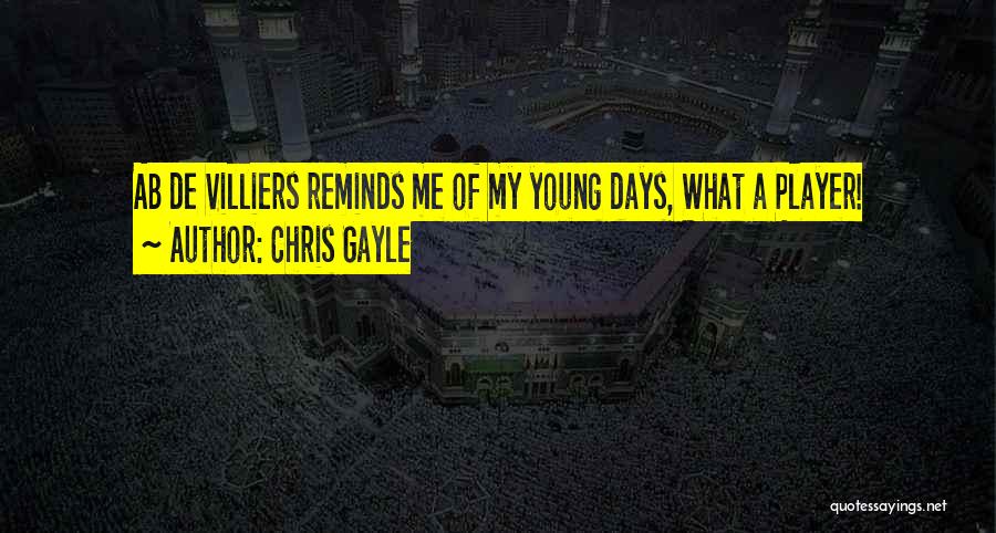 De Villiers Quotes By Chris Gayle