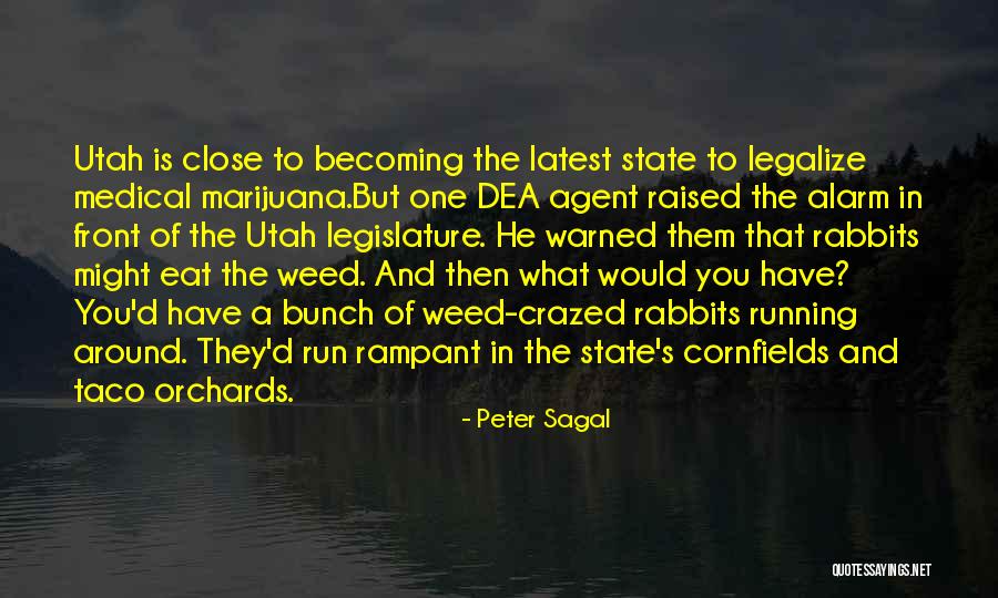 Dea Quotes By Peter Sagal Dea Quotes By Peter Sagal